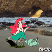 Ariel animuotas GIF