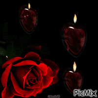 růže a svíčky - Бесплатный анимированный гифка