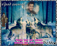 ELVIS WOLVES WITCHES animovaný GIF
