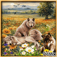 Les loups au printemps - Gratis animeret GIF