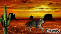 wolf - Ingyenes animált GIF
