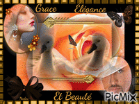 Grace Elegance et Beauté animovaný GIF