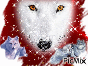 loup blanc animasyonlu GIF