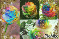 rosas coloridas GIF animé