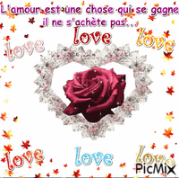 L'amour selon moi (2) - Δωρεάν κινούμενο GIF