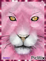 lion rose animált GIF