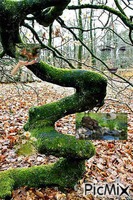 arbre - Gratis geanimeerde GIF