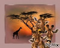 Family of giraffes - Бесплатни анимирани ГИФ