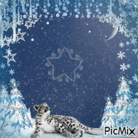 snowy leopard - GIF animado grátis