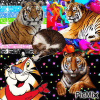 tigers GIF animé