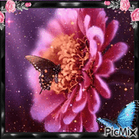Flor exótica - GIF animé gratuit