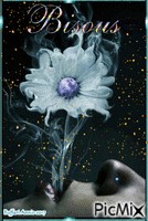 Souffle de fleur - Animovaný GIF zadarmo