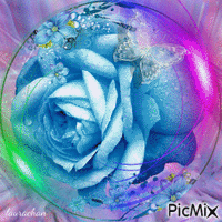 rosa azzurra - laurachan - GIF animé gratuit
