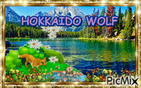 HOKKAIDO WOLF - GIF animé gratuit