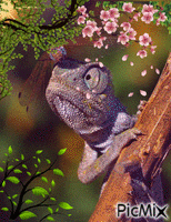 Spring fun - 無料のアニメーション GIF