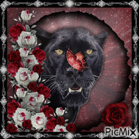 Black Panther And Roses - GIF animé gratuit