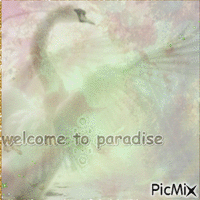 ♡open your eyes♡see the paradise ♡ - GIF animé gratuit