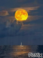 Full Moon over the sea κινούμενο GIF