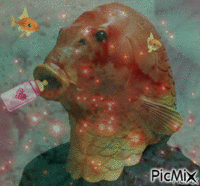 delire du poisson rouge - Безплатен анимиран GIF