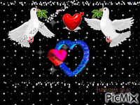 Two Lovebirds - GIF animado gratis