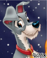 /chien étoilé - GIF animasi gratis