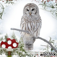 winter owl - Bezmaksas animēts GIF