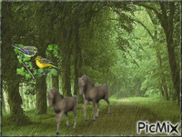 lovak - Ilmainen animoitu GIF