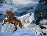 wolf w/ horses - GIF animé gratuit