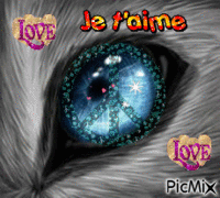 Le loup amoureux ! <3 - Δωρεάν κινούμενο GIF