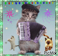 chat accordéon - Gratis animeret GIF