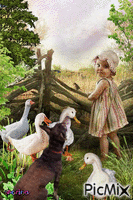 Girl in the countryside with her dog - Free animated GIF