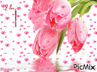 Pink Tulips - Безплатен анимиран GIF