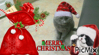 CHRISTMAS NORRY - Animovaný GIF zadarmo