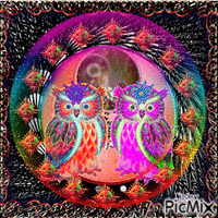 the owls in the ball Gif Animado