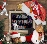 Navidad Ian Animated GIF
