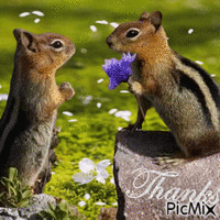 THIS IS FOR MY DEAR FRIEND NATALY!THANK YOU SO MUCH FOR YOUR WONDERFUL FRIENDSHIP!HUGS;) animirani GIF