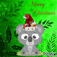 Koala Christmas Animated GIF