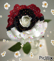Rosa mixta - Bezmaksas animēts GIF