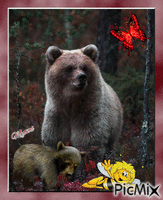 maman ours et son petit animerad GIF