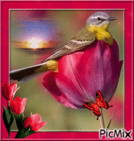 oiseau et tulipe animovaný GIF