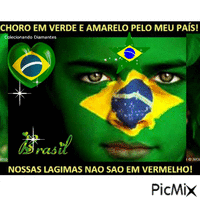 Bandeira do brasil   18  25  17 animeret GIF