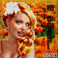 woman orange - Free animated GIF