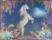 cheval blanc animovaný GIF