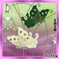 IRIS - Joli papillon... 🦋🤍🦋 - GIF animé gratuit