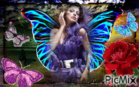 papillions - Besplatni animirani GIF