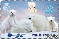 DDes ours animuotas GIF