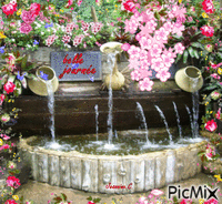 fleurs fontaine animovaný GIF