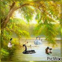 pond life GIF animata