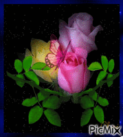 roses - Ilmainen animoitu GIF