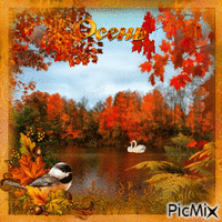 Осенняя природа - Gratis animeret GIF